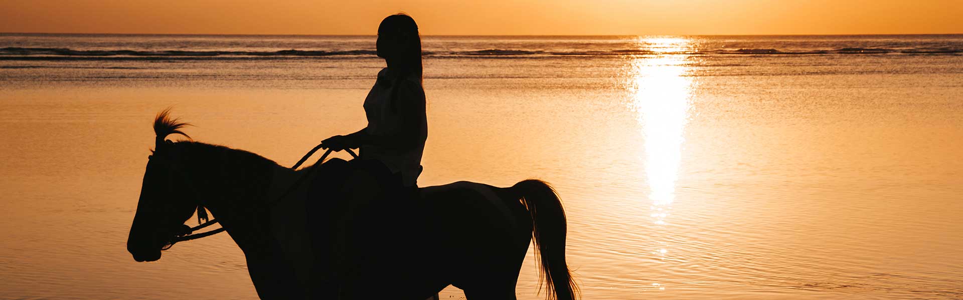 Ruta a caballo por Cabo de Gata