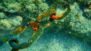 Cadenas en mar