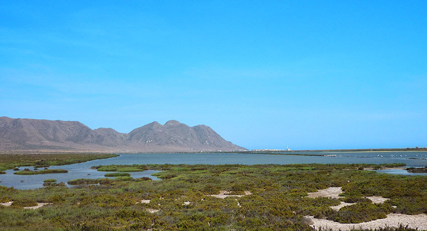 Las Salinas de Cabo de Gata desde el observatorio