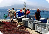 pescadores la isleta
