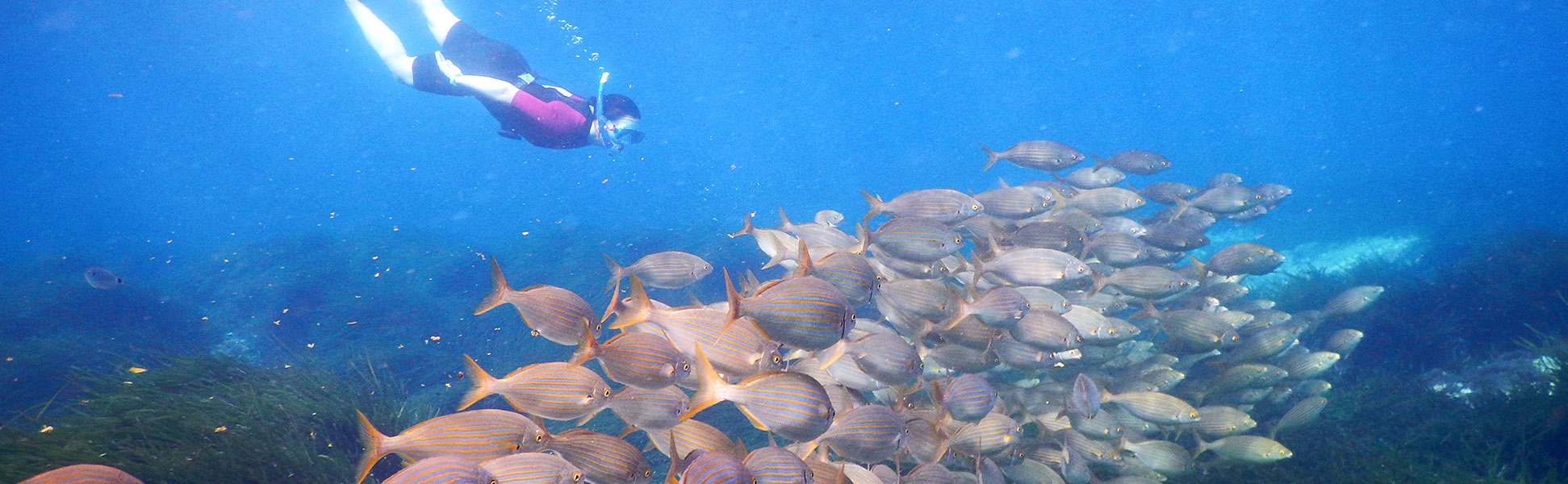Reserva Snorkel Cabo de Gata