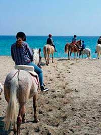 Horse riding in Cabo de Gata