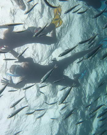 Snorkel Cabo de Gata 1